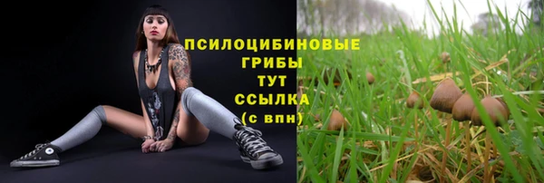 прущая мука Покров