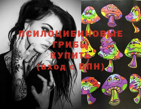 apvp Покровск
