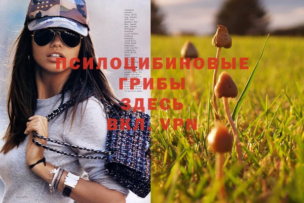 кокаин премиум Пересвет