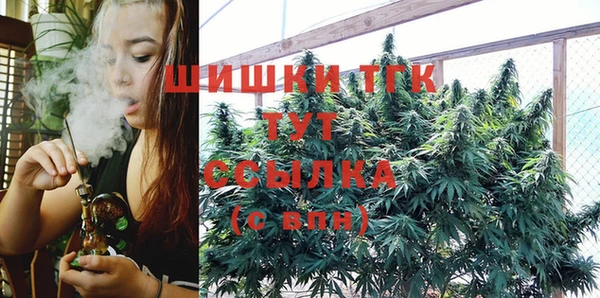 спиды Пестово