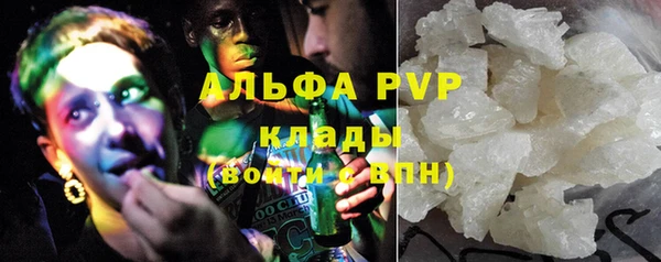 прущие грибы Алзамай