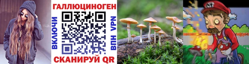 это официальный сайт  Коркино  Галлюциногенные грибы мухоморы 