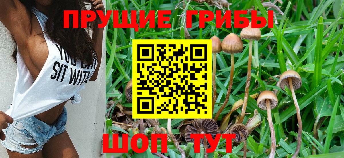 Коркино  Псилоцибиновые грибы Psilocybine cubensis  Псилоцибиновые грибы Psilocybe  Вход с VPN 
