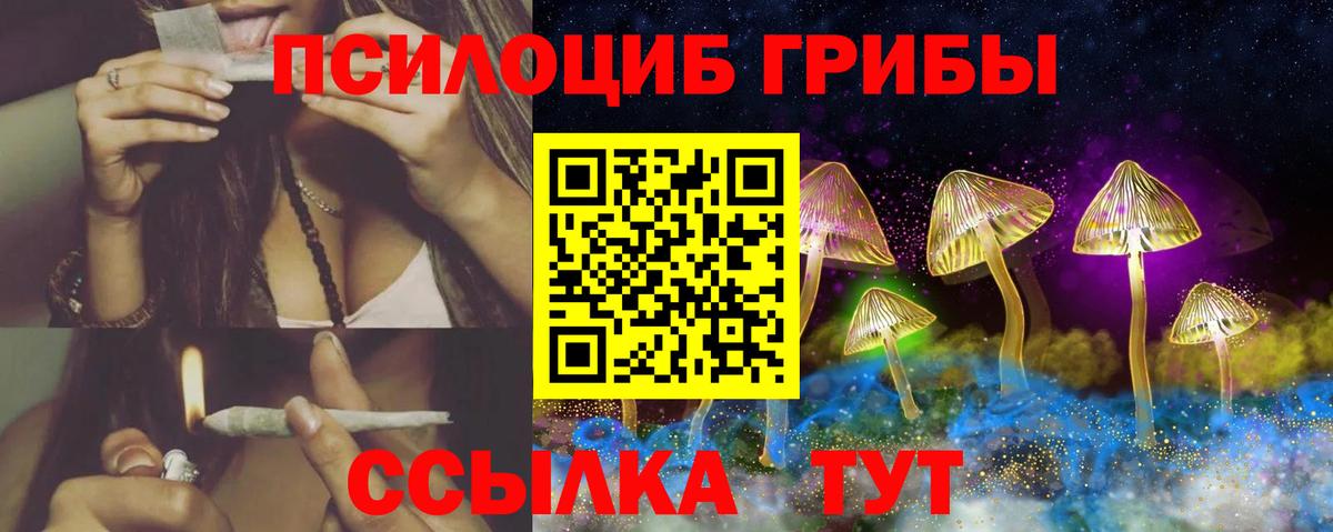 Галлюциногенные грибы прущие грибы Коркино
